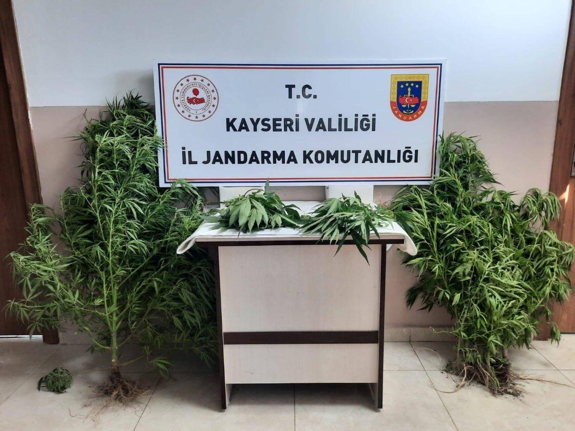 Jandarma, Bir Evde Uyuşturucu Ele Geçirdi 