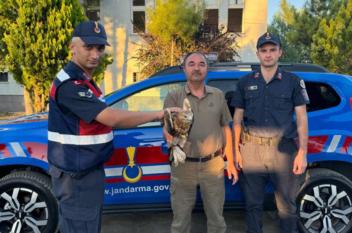 Jandarma Kanadı Kırık Şahine Sahip Çıktı