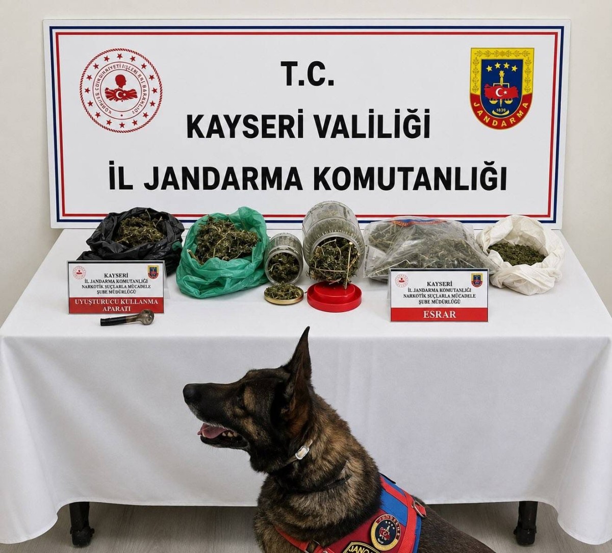 Jandarma bir kilo 200 gram esrar ve silah ele geçirdi