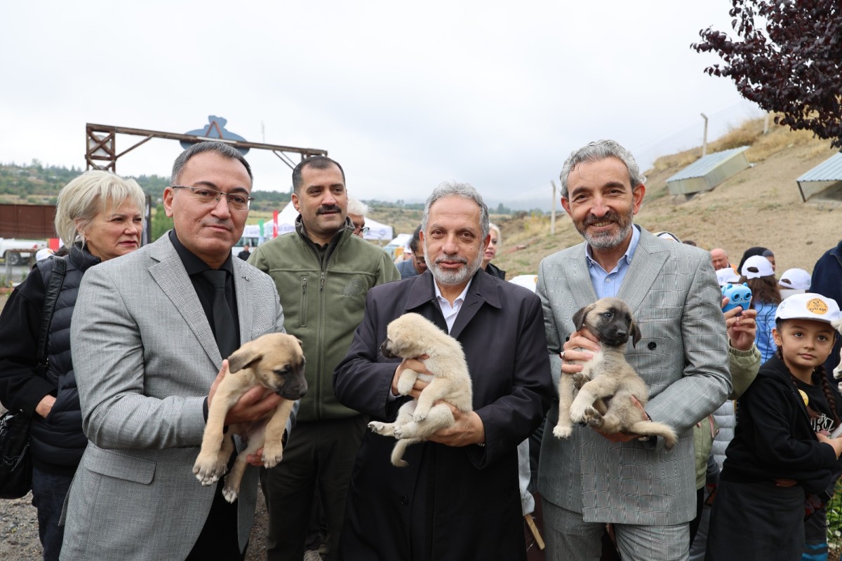 Hayvanları Koruma Günü, Talas Pati Evi Doğal Yaşam Alanında kutlandı